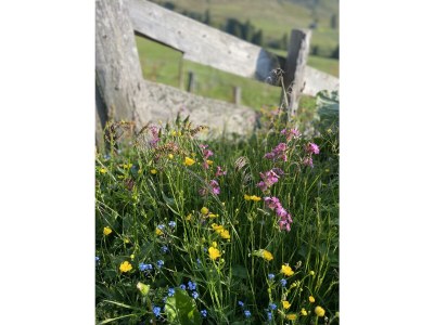 Apartment Appartment Riverside - Outdoor photo 7