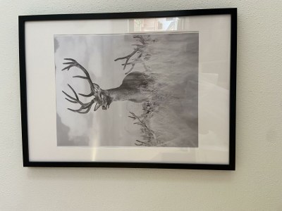 Apartment Appartment Riverside - Outdoor photo 20