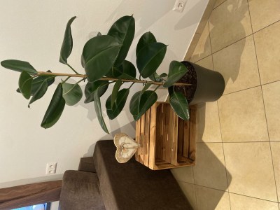 Apartment Appartment Riverside - Outdoor photo 41