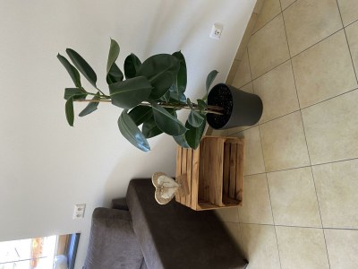 Apartment Appartment Riverside - Features photo 49