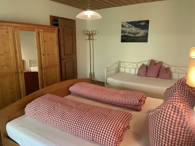 Apartment Ferienwohnung HANNI - Outdoor photo 9