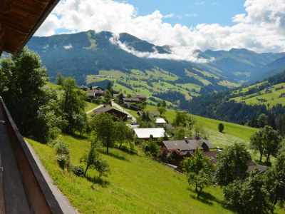 Apartment Ferienwohnung HANNI - Outdoor photo 25