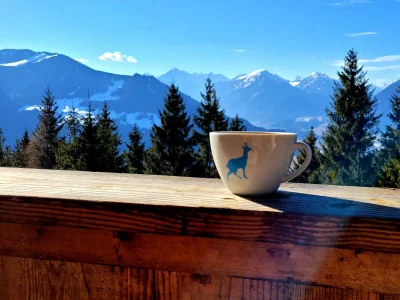 Apartment Ferienhaus Gipfelglück - Outdoor photo 10