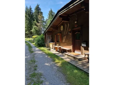 Apartment Ferienhaus Gipfelglück - Outdoor photo 11