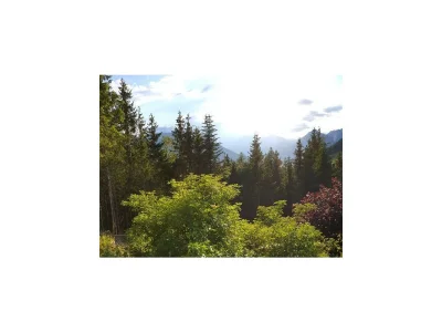 Apartment Ferienhaus Gipfelglück - Outdoor photo 27