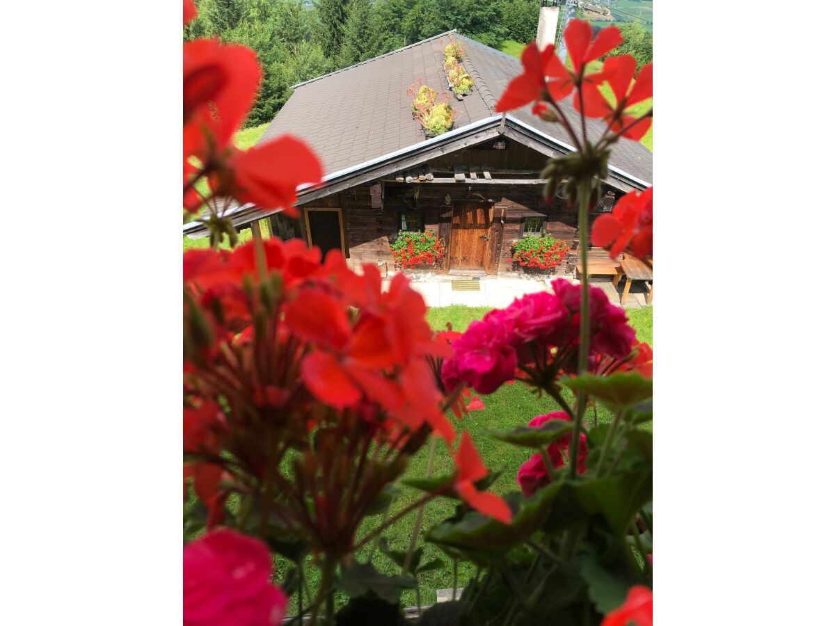 Apartment Wölzenbergalm - Outdoor photo 2