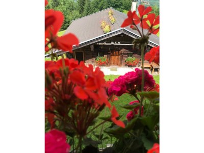 Apartment Wölzenbergalm - Outdoor photo 2