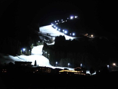 Apartment Wölzenbergalm - Outdoor photo 12