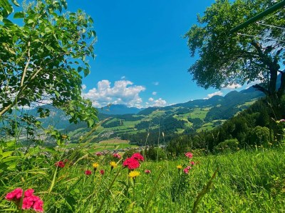 Apartment Wölzenbergalm - Features photo 24