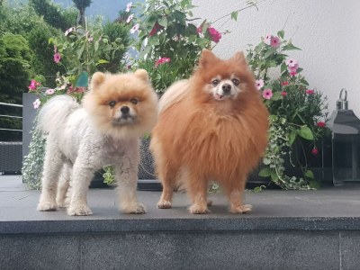 Apartment Ferienwohnung "Sonnwendjoch" - Outdoor photo 14