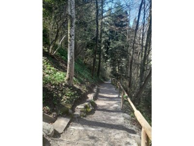 Apartment Ferienwohnung "Sonnwendjoch" - Outdoor photo 28