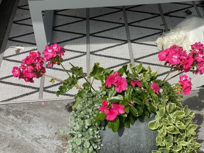 Apartment Ferienwohnung "Sonnwendjoch" - Outdoor photo 30