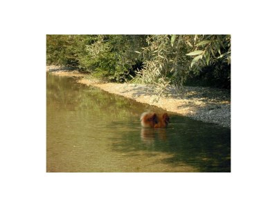 Apartment Ferienwohnung "Sonnwendjoch" - Outdoor photo 64