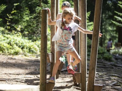 Apartment Ferienwohnung Waldblick - Outdoor photo 6