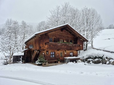 Apartment Wörglerhof  Hüttenappartment Obstgarten - Outdoor photo 40