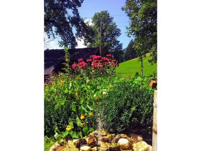 Apartment Wörglerhof  Hüttenappartment Obstgarten - Outdoor photo 45