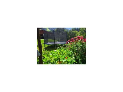 Apartment Wörglerhof  Hüttenappartment Obstgarten - Outdoor photo 50