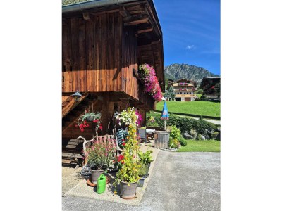 Apartment Wörglerhof  Hüttenappartment Obstgarten - Outdoor photo 58