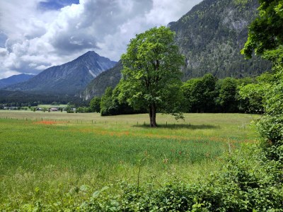 Apartment Ferienwohnung Rosa - Outdoor photo 2