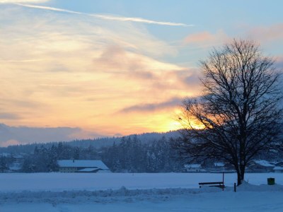 Apartment Ferienwohnung Rosa - Outdoor photo 3