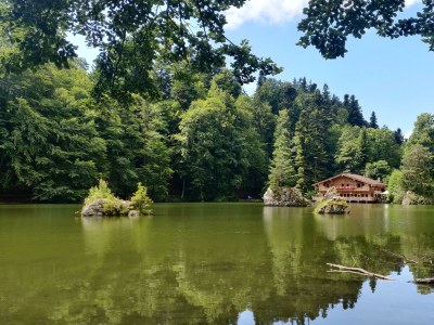 Apartment Ferienwohnung Rosa - Outdoor photo 4