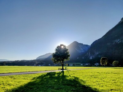 Apartment Ferienwohnung Rosa - Outdoor photo 5