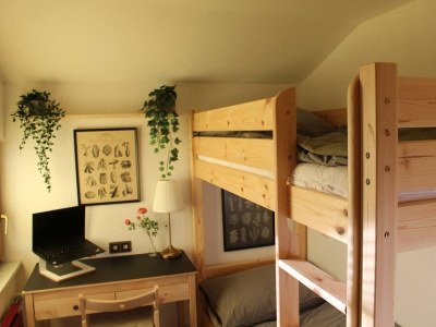 Apartment Ferienwohnung Rosa - Features photo 36