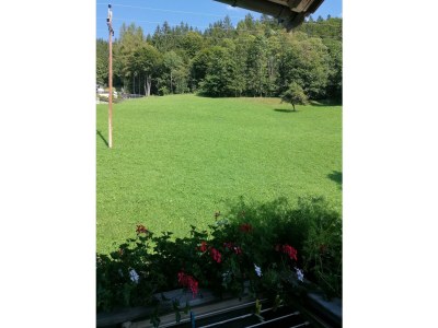 Apartment Ferienwohnung klein - Features photo 40