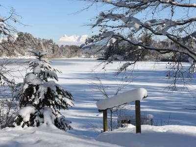 Apartment Ferienwohnung Lechner - Outdoor photo 7