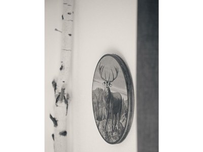 Apartment Einzigartiges Chalet für 8 Personen mit Kamin - Features photo 45