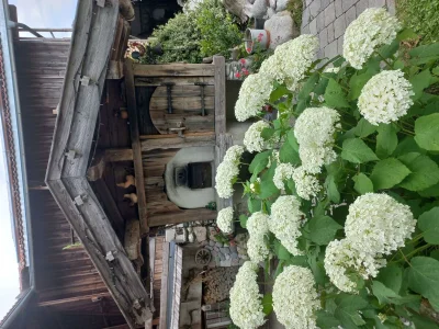 Apartment Appartement 2 - Outdoor photo 11