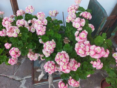 Apartment Appartement 2 - Outdoor photo 12