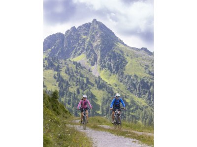 Apartment Apartment Bergblick - Outdoor photo 31