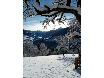 Apartment Wörglerhof - Hüttenappartement Bergblick - Outdoor photo 5