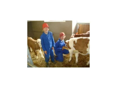 Apartment Wörglerhof - Hüttenappartement Bergblick - Outdoor photo 12