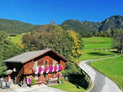 Apartment Wörglerhof - Hüttenappartement Bergblick - Outdoor photo 39