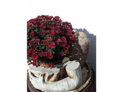 Apartment Appartement "Alpbachblick" - Outdoor photo 6