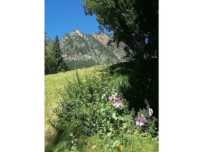 Apartment Appartement "Alpbachblick" - Outdoor photo 10