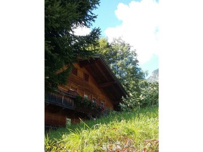 Apartment Appartement "Alpbachblick" - Outdoor photo 11