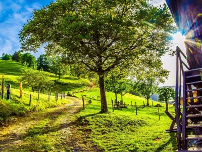 Apartment Ferienwohnung Oslerhof - Outdoor photo 8