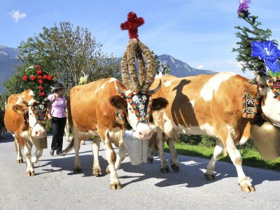 Apartment Penthouse Sonnenplatzl - Outdoor photo 35