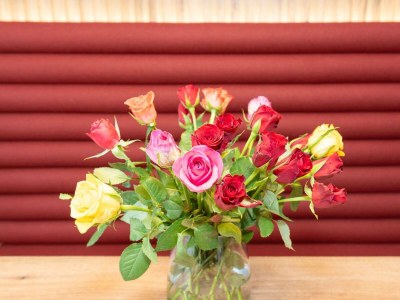 Apartment PENTHOUSE - Outdoor photo 90