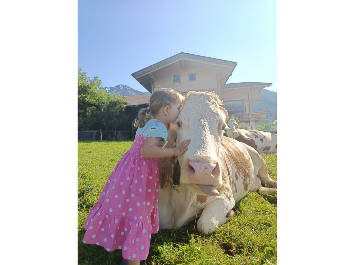 Apartment Brandterhof - Outdoor photo 3