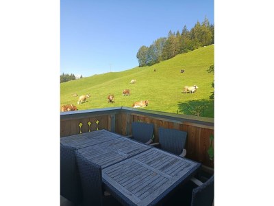 Apartment Brandterhof - Outdoor photo 4