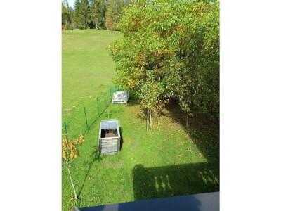 Apartment Brandterhof - Outdoor photo 7