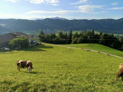Apartment Brandterhof - Outdoor photo 29