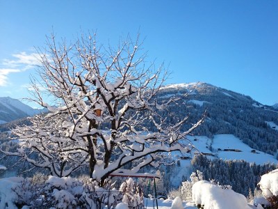 Apartment Studio NEU, 1-2 Personen - Outdoor photo 30