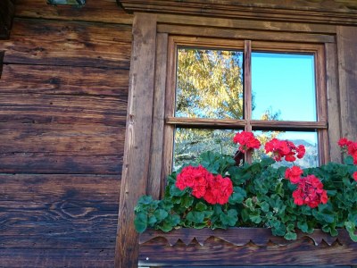 Apartment Studio NEU, 1-2 Personen - Outdoor photo 33