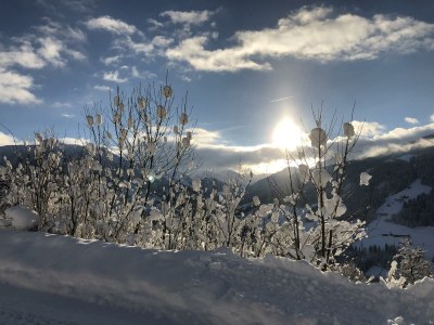 Apartment Ferienwohnung VELI - Outdoor photo 38