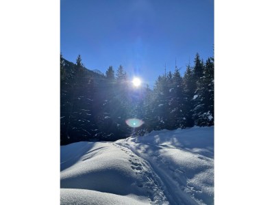 Apartment Ferienwohnung VELI - Outdoor photo 52